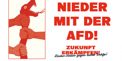 Nieder mit der AfD! Linker Haken gegen rechte Kräfte!